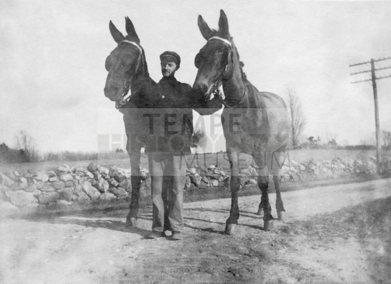 D.Curtis Stanion with two horses