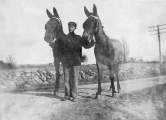 D.Curtis Stanion with two horses