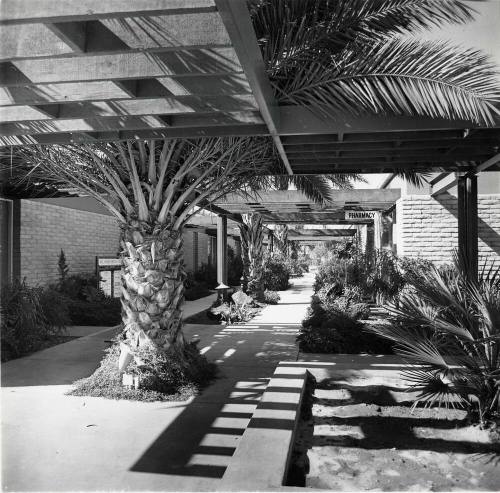 Photograph - Patio in front of Laird Pharmacy