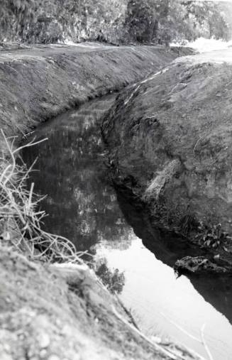 Photograph - Irrigation Ditch in Tempe
