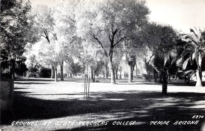 Postcard - Grounds at State Teachers College