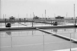 Papago Park Water Treatment Plant Treatment Ponds