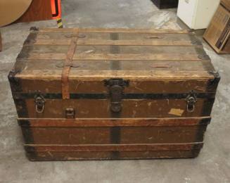 Brown "Canvas Traveler" trunk