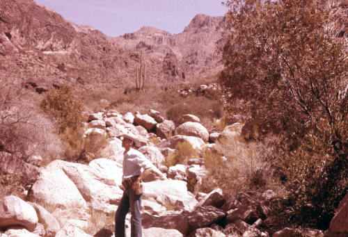 David Phillips Hieroglyphic Canyon in Superstition Mountains