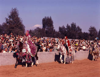Arabian Horse Show performers