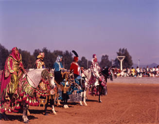 Arabian Horse Show
