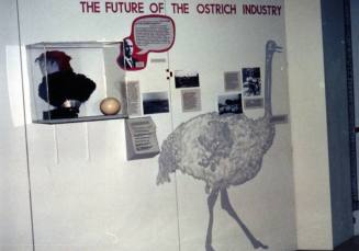 The Future of The Ostrich Industry Exhibit