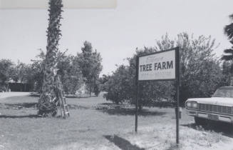 Tempe Tree Farms - 1034 West 1st Street, Tempe, Arizona