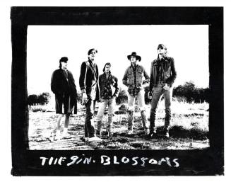 Gin Blossoms poster