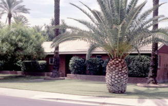 Property Address:  102 West Palmcroft Drive, Tempe, Arizona
Subdivision Address:  Date Palm Manor