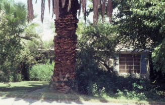 Property Address:  114 East 15th Street, Tempe, Arizona
Subdivision Address:  University Park