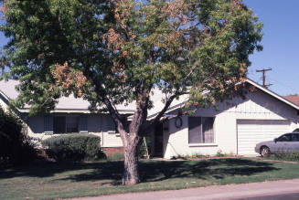 Property Address:  116 East Huntington Drive, Tempe, Arizona
Subdivision Address:  Nu-Vista