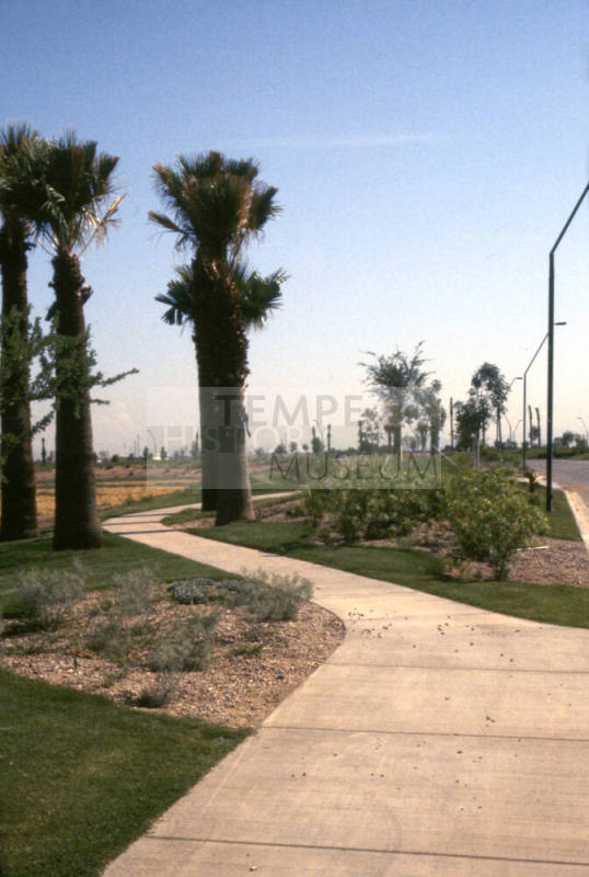 Sidewalk and Landscaping at Arizona State University Research Park