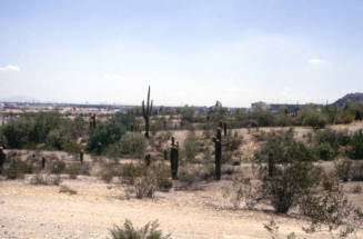 College & Curry Road - Papago Park