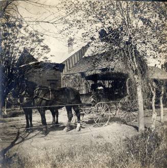 Buggy and Horses in Front of 6th Street Home