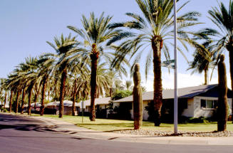 Residences at S. Dromedary Dr. and W. Palmdale Dr.