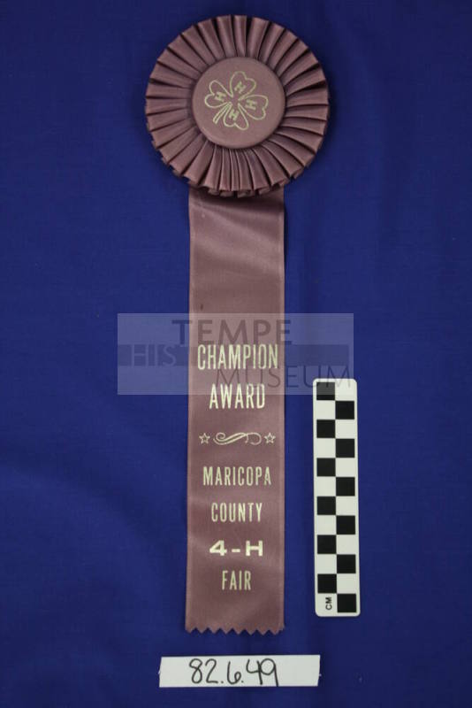 Ribbon - 4H Champion Award