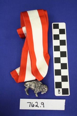 Scout Award Medal