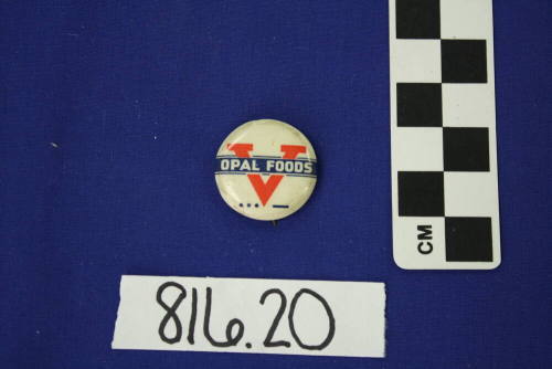 Opal Foods Campaign Pin