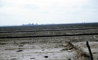 Irrigated farm land