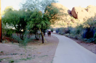 Pathway in Papago Park