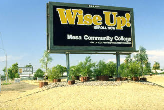 Mesa Community College Billboard, "Wise Up"