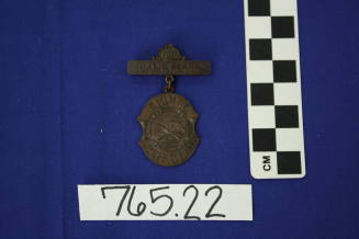 Camp Perry Marksmanship Competition Medal