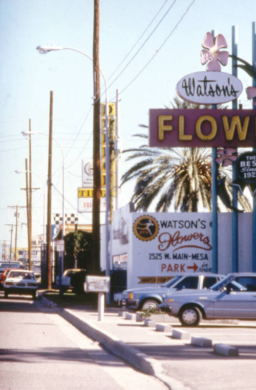 Watson's Flowers, 2425 E. Apache Blvd.