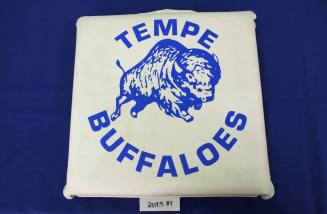 Tempe High School Buffaloes Stadium Cushion