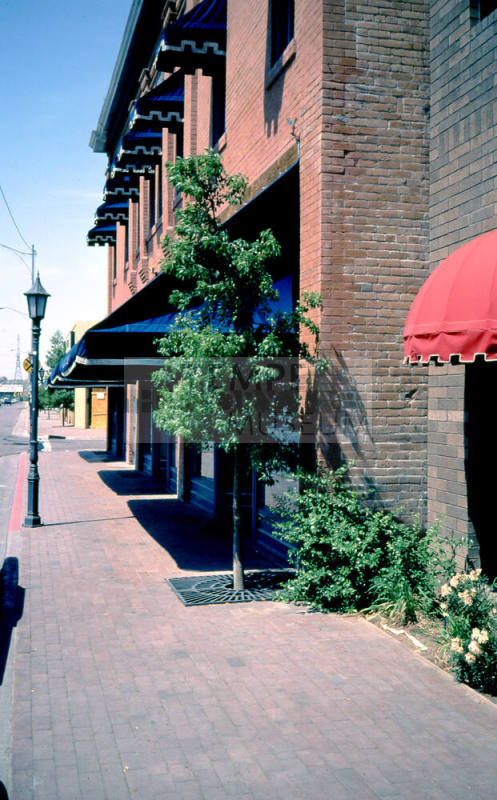 Paradise Bar and Grill, Andre Building, 400  Block of  S. Mill Ave.