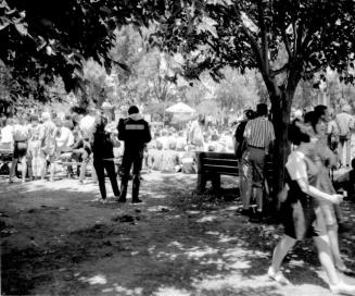 3 images, love-in at Tempe Beach Park--Shaded/tree area; group under tree; crowd on lawn