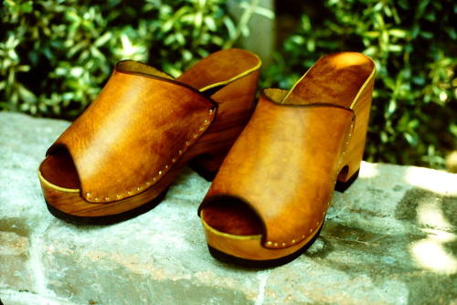 Euphoria Leather Wooden Clogs