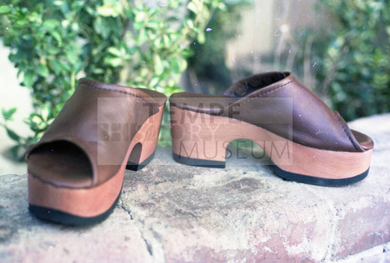 Euphoria Leather Wooden Clogs