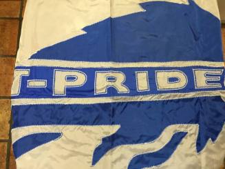 Tempe High School - School Pride Flag