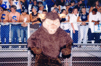 Tempe High School - Student dressed as Buffalo at Football Game