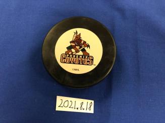Phoenix Coyotes Official NHL Hockey Puck