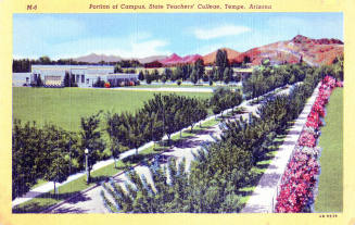 Postcard of portion of campus, State Teachers' College, Tempe, Arizona.