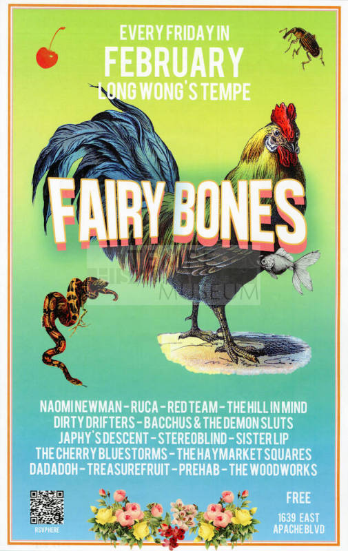 Fairy Bones Poster