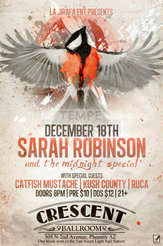 Sarah Robinson and the Midnight Special Poster
