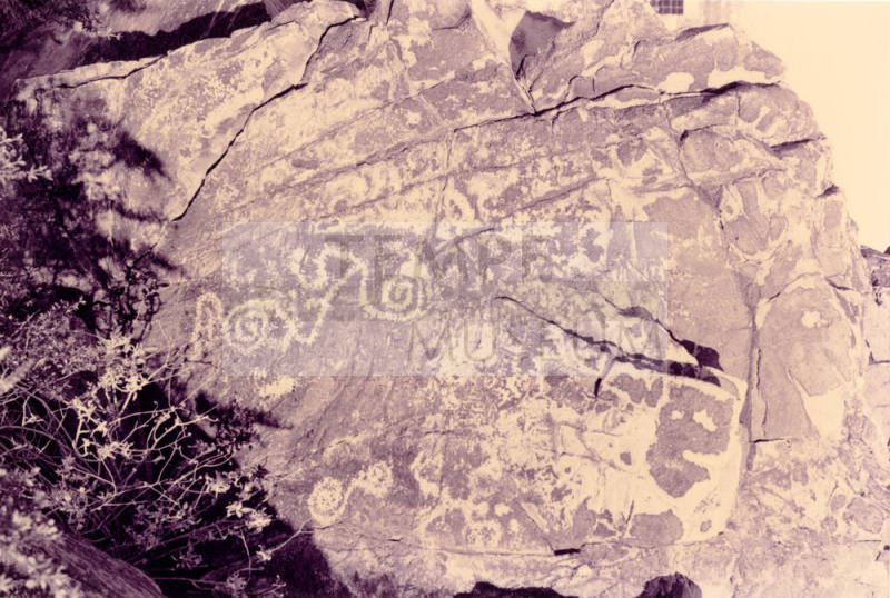 Tempe Butte Petroglyphs