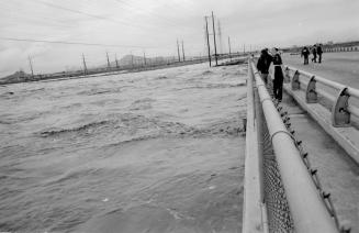 Salt River Flood, McClintock Bridge, Tempe, Arizona