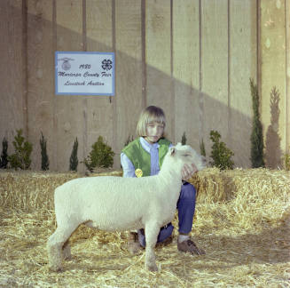 Girl with Sheep at Maricopa County Fair