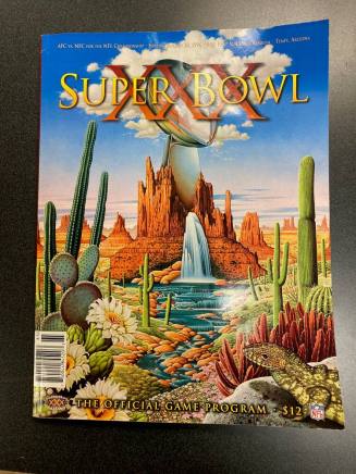 Super Bowl XXX Official Game Program