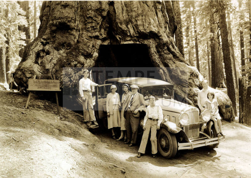 Group photo of Dr. Fenn J Hart and his family posing against a car under a giant Sequoia tree at Yosemite National Park