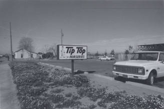 Tip Top Nurseries - 1980 East Broadway Road, Tempe, Arizona