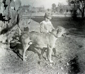 Young child standing with a dog outside