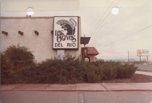 Los Olivos del Rio - 1300 North Hayden Road, Tempe, Arizona