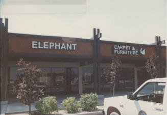 Elephant - 6322 South Price Road, Tempe, Arizona