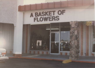 Basket of Flowers - 93 East Southern Avenue, Tempe, Arizona