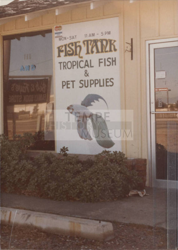 Fish Tank - 2043 East University Drive, Tempe, Arizona